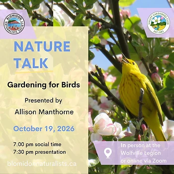 Poster for Nature Talk