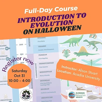 Poster for Introduction to Evolution on Halloween