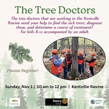 Poster for The Tree Doctors Family Adventure
