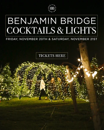 Poster for 2026 Cocktail & Lights | Saturday Night