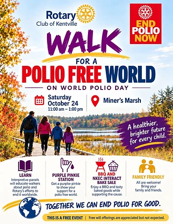 Poster for Walk For Polio