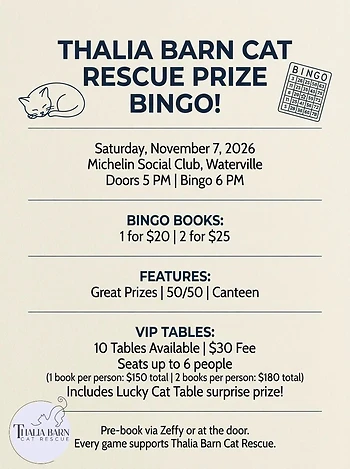 Poster for Thalia Barn Cat Rescue BINGO