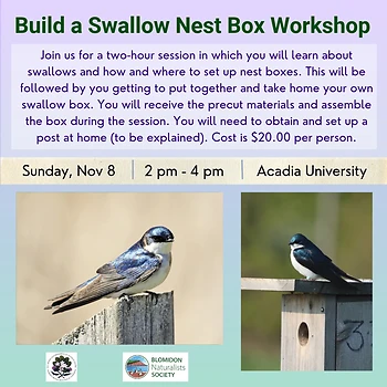 Poster for Building a Swallow Nest Box Workshop