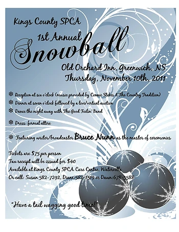 Poster for SPCA Snowball