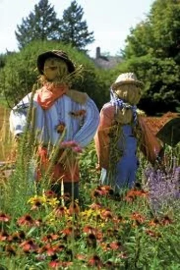 Poster for Scarecrow Scavenger Hunt