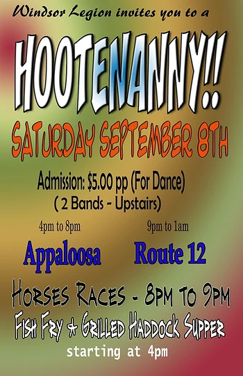 Poster for Hootenanny