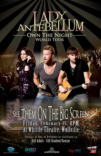 Poster for Lady Antebellum: Own The Night