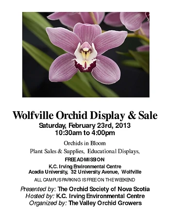 Poster for Orchid Display & Sale