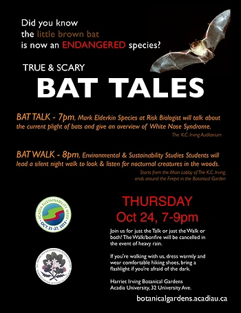 Poster for True and Scary Bat Tales