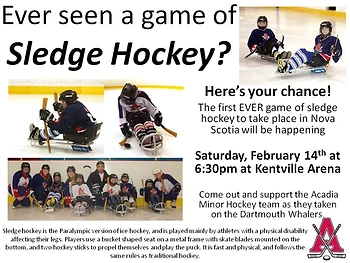 Poster for Sledge Hockey Game
