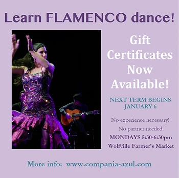 Poster for Flamenco Dance