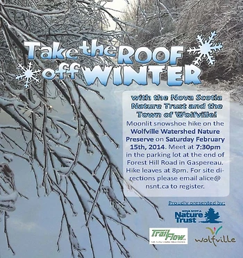 Poster for Take the Roof off Winter