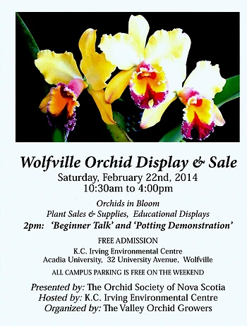 Poster for Orchid Display & Sale