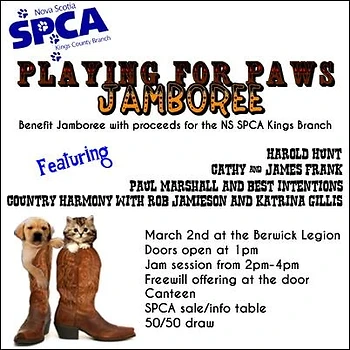 Poster for Playing for Paws