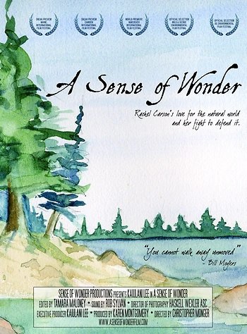 Poster for A Sense Of Wonder