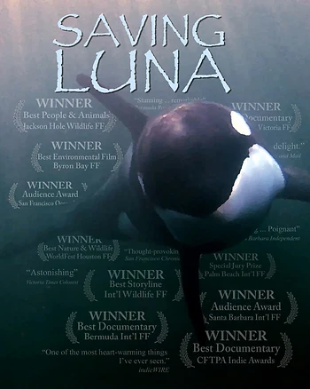 Poster for Saving Luna