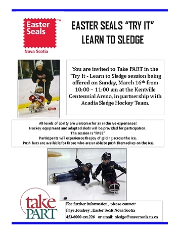 Poster for Try It - Learn to Sledge