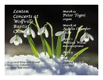 Poster for Peter Togni