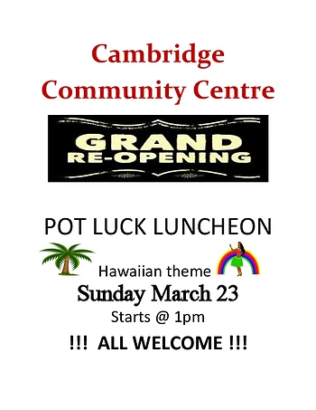 Poster for Pot Luck Luncheon