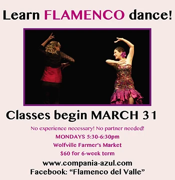Poster for Flamenco Dance