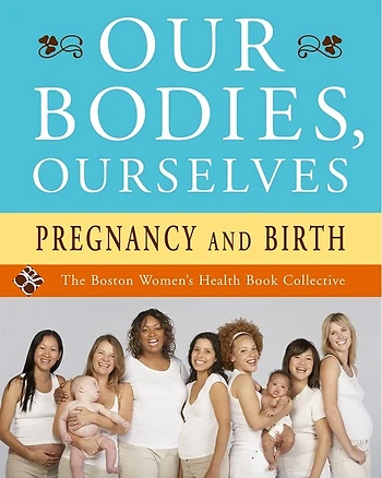 Poster for Pregnancy and Birth: Book Talk