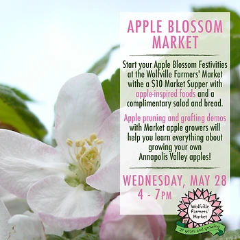 Poster for Apple Blossom Market Supper