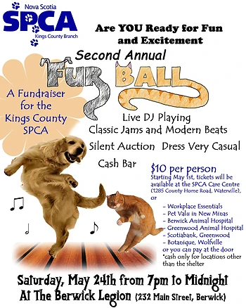 Poster for Furball Dance & Silent Auction