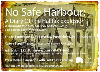Poster for No Safe Harbour