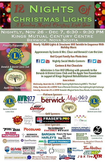 Poster for 12 Nights of Christmas Lights