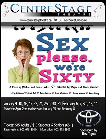 Poster for Sex Please We're Sixty