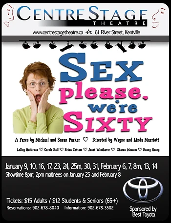 Poster for Sex Please We're Sixty