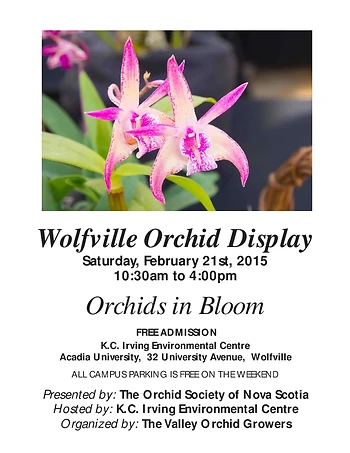 Poster for Wolfville Orchid Display