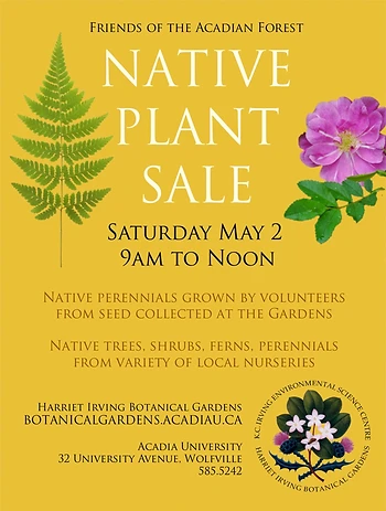 Poster for Native Plant Sale