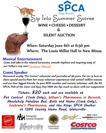 Poster for Sip Into Summer Soiree and Silent Auction