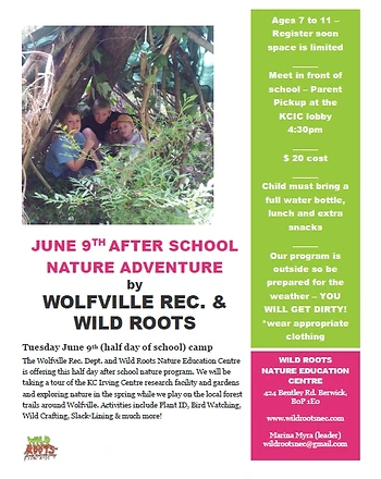 Poster for Nature Adventure 