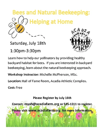 Poster for Bees and Natural Beekeeping