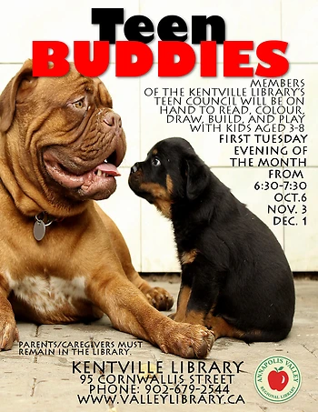 Poster for Teen Buddies
