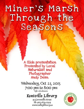 Poster for Miner's Marsh Through the Seasons