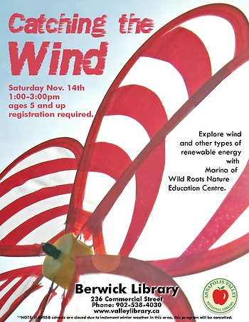 Poster for Catching the Wind