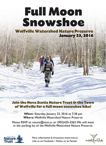 Poster for Snowshoe Hike