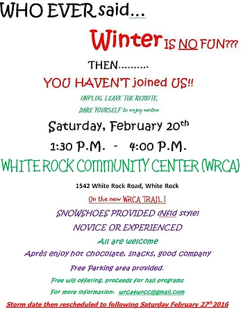 Poster for Winter...No Fun?