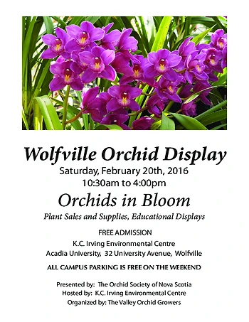 Poster for Orchid Display