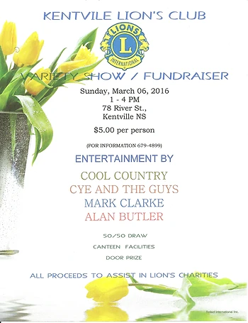 Poster for Variety Show / Fundraiser