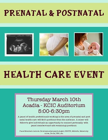 Poster for Prenatal & Postnatal Health Care