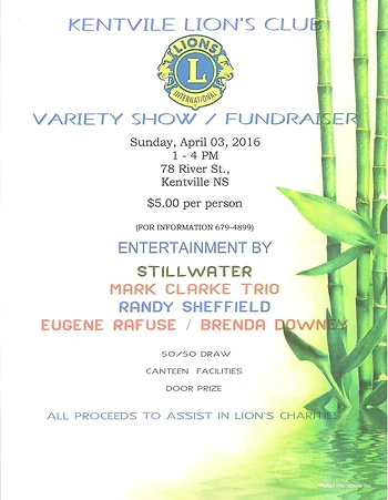 Poster for Variety Show / Fundraiser