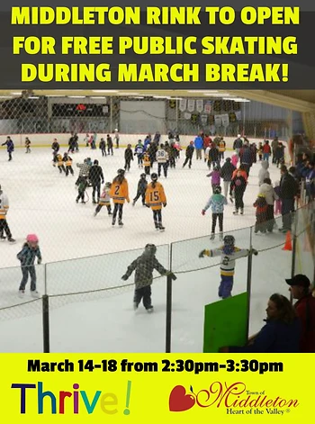 Poster for Public Skating