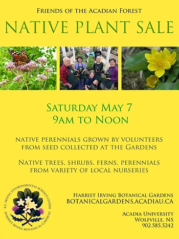 Poster for Native Plant Sale