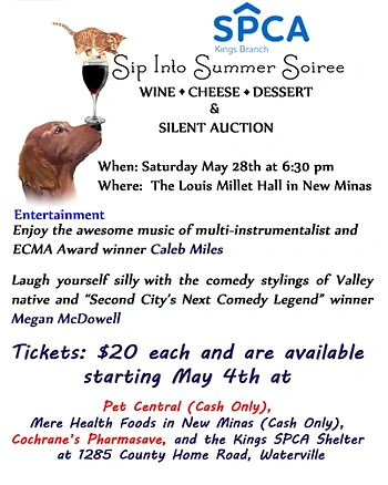 Poster for Sip Into Summer Soiree & Silent Auction