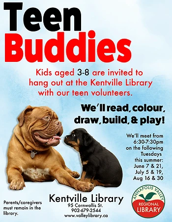 Poster for Teen Buddies