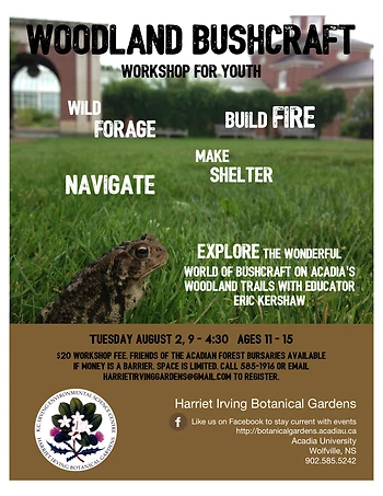 Poster for Woodland Bushcraft Workshop